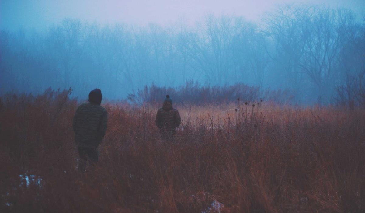 Lionparts B2B — European Dealer Portal